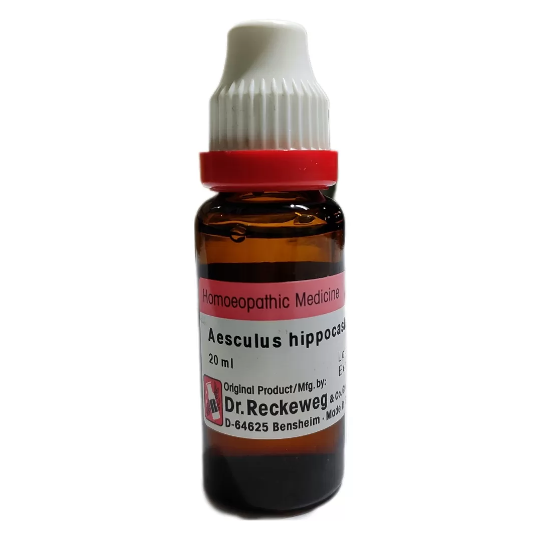 Aesculus hip q