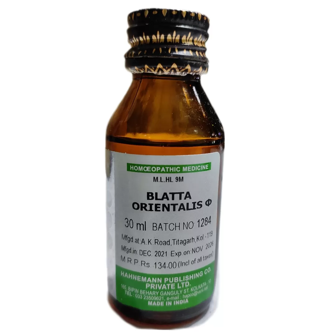 blatta orientalis q