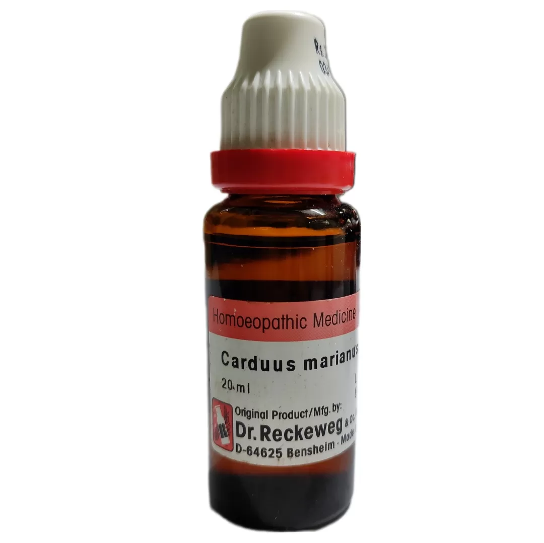 carduus marianus q