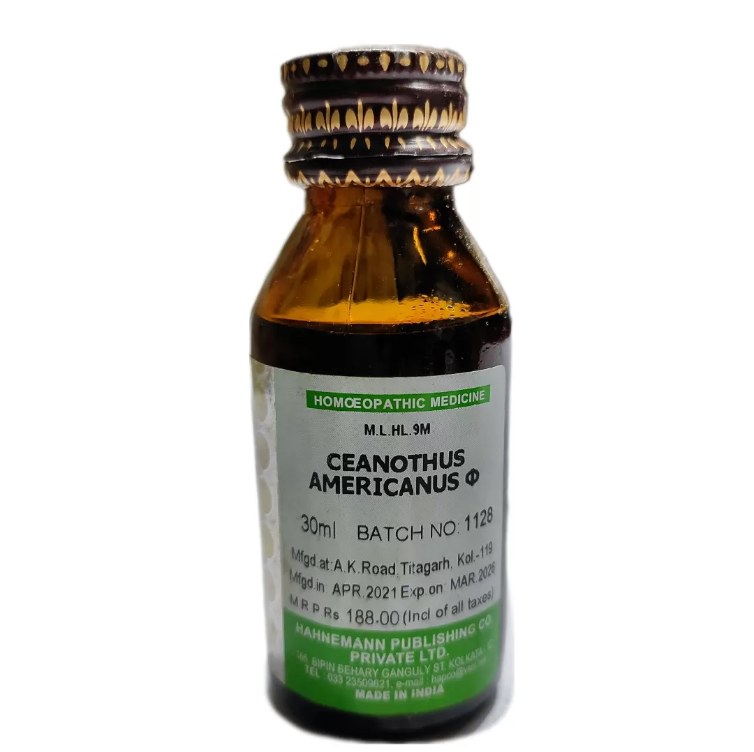 ceanothus americanus q