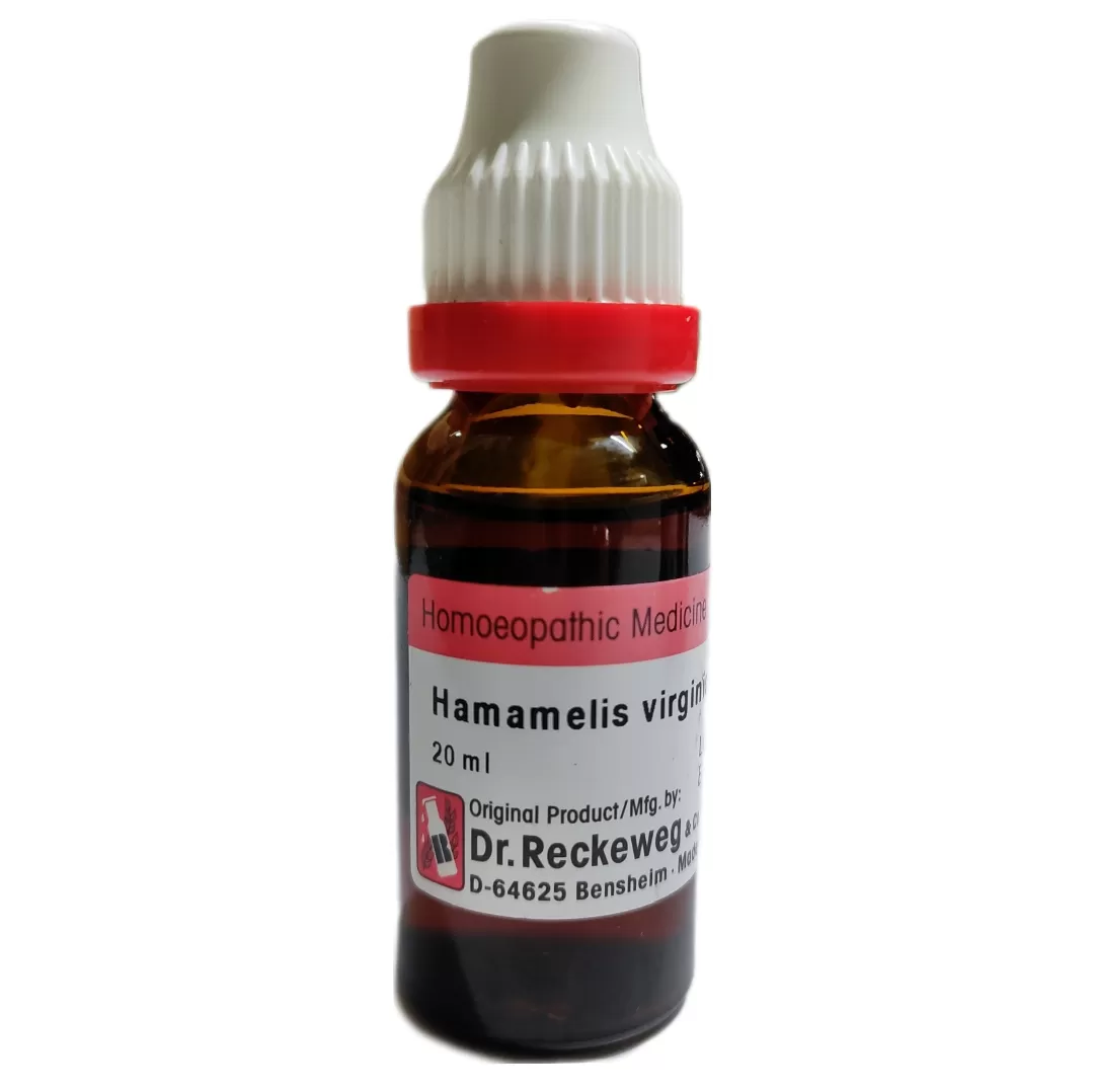hamamelis vir q