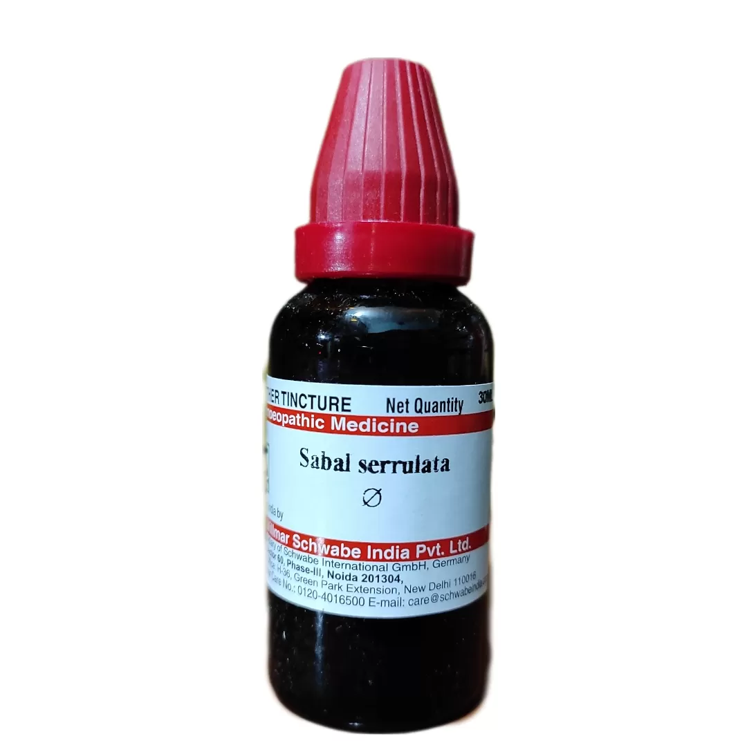 Sabal Serrulata Q - schwabe