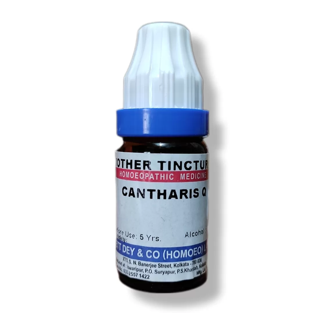 Cantharis Q